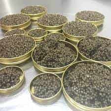 تصویر 3 از خرید خاویار بری امپریال + قیمت فروش استثنایی